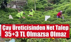 Yaş çay üreticisinden “35+3 TL” çağrısı: Maliyet baskısı artıyor