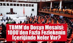 TBMM’de Dosya Mesaisi: 1000’den Fazla Fezlekenin İçeriğinde Neler Var?