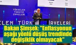 Bakan Şimşek: ''Enflasyonun aşağı yönlü düşüş trendinde değişiklik olmayacak''