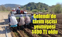 Selendi'de tarım işçisi yevmiyesi 1400 TL oldu