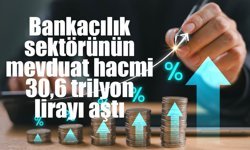 Bankacılık sektörünün mevduat hacmi 30,6 trilyon lirayı aştı