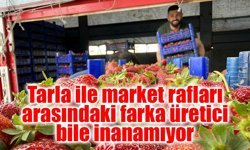 Tarla ile market rafları arasındaki farka üretici bile inanamıyor