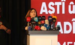 Diyarbakır'da Toplumsal Barış ve Özgürlük Forumu başladı