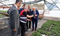 Hilmi Güler: "Ürettiğimiz fidelerle halkımızın ekonomisine katkıda bulunuyoruz"