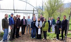 Kütahya’ya Hollandalı yatırımcı ilgisi: Blueberry üretimi mercek altında