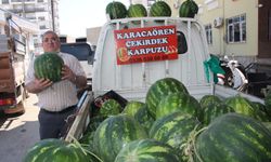 Çekirdek karpuzun hasadı başladı: 3 ayda hasat ediliyor, 1 ayda tükeniyor