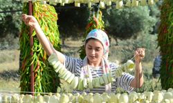 Kurutmalık Sebze Üretimi 100’den Fazla Kişiye Ekmek Kapısı Oldu