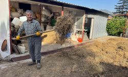 Toroslar'da yetişen 31 farklı bitkinin yağını çıkartıp ülkenin dört bir yanına gönderiyor
