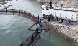 İhracat ile milyonlar kazandıracak yavru somonlar Çat Barajı'na bırakıldı