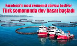 Karadeniz'in mavi ekonomisi dünyayı besliyor: Türk somonunda dev hasat başladı