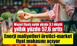 Enerji maliyetleri üretici-market fiyat makasını açıyor