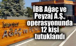 İBB Ağaç ve Peyzaj A.Ş., operasyonunda 12 kişi tutuklandı