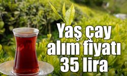 Yaş çay alım fiyatı 35 lira olarak belirlendi