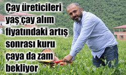 Yaş çaya yüzde 37’lik artış sonrası gözler kuru çay fiyatlarında