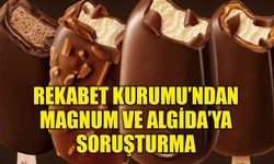 Rekabet Kurumu’ndan Magnum ve Algida’ya soruşturma
