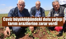 Ceviz büyüklüğündeki dolu Amik Ovası’nı vurdu