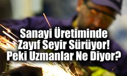 Sanayi Üretiminde Zayıf Seyir Sürüyor! Peki Uzmanlar Ne Diyor?