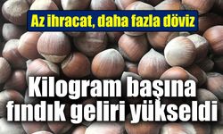 Fındıkta miktar düştü, gelir arttı: Kilogram başına ihracat değeri 13,9 dolara çıktı