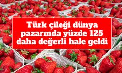 Türk çileği dünya pazarında yüzde 125 daha değerli hale geldi