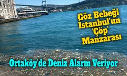 Ortaköy Sahili'nde kirlilik tepki çekti: Vatandaşlardan temizlik çağrısı