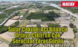 Hatay'da Taşan Asi Nehri Tarım Arazilerini Yuttu