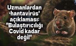 Uzmanlardan ‘hantavirüs' açıklaması: "Bulaştırıcılığı Covid kadar değil"