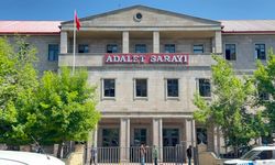8 yıllık davada hüküm: Leyla Aydemir'in amcasına müebbet