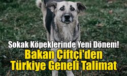 Sokak Köpeklerinde Yeni Dönem: Bakan Çiftçi'den Türkiye Geneli Talimat
