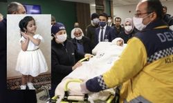 Asiye Ateş'in ağır yaralandığı saldırıda pitbull silah sayıldı!