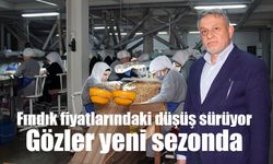 Fındık fiyatlarındaki düşüş sürüyor: Gözler yeni sezonda