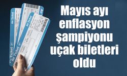 Mayıs ayında en çok yurt içi uçak biletleri pahalandı