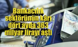 Bankacılık sektörünün kârı dört ayda 363 milyar lirayı aştı