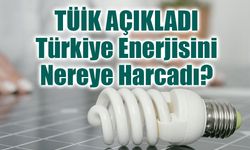 TÜİK Açıkladı: Türkiye 2024’te Enerjisini Nereye Harcadı?