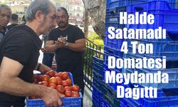 Halde Satamadı, Meydanda Dağıttı: Antalya'da 4 Ton Ücretsiz Domates İzdihamı!