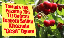 Tarlada 150, Pazarda 750 TL! Coğrafi İşaretli Salihli Kirazında "Çeşit" Oyunu