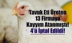 Mahkemeden beyaz et şirketleri lehine karar: 4 firmada denetim kayyumu uygulaması durduruldu