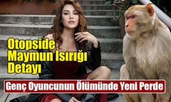 Ece İrtem'in Ölümünde Şok İddia: Tayland'daki Maymun Isırığı Araştırılıyor