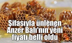 Anzer Balı'nda 2026 fiyatı belli oldu: Kilosu 7 bin TL'den satışa sunulacak