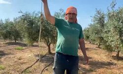 "Yılanı öldürdüm" dedi, 22 bin TL ceza aldı! Koruma altındaki tür nedeniyle başı derde girdi