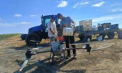 Edirne'de üreticiler tarlasını dronla ilaçlıyor, güneş enerjisiyle suluyor