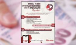 Engelli ve Eski Hükümlü Hibe Desteği'nde yeni başvuru dönemi başladı