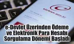 e-Devlet Üzerinden Ödeme ve Elektronik Para Hesabı Sorgulama Dönemi Başladı