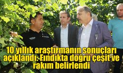 10 yıllık araştırmanın sonuçları açıklandı: Fındıkta doğru çeşit ve rakım belirlendi