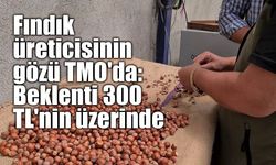 Fındık üreticisinin gözü TMO'da: Beklenti 300 TL'nin üzerinde