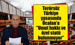 Terörsüz Türkiye yasasında Öcalan'a özel düzenleme yok!