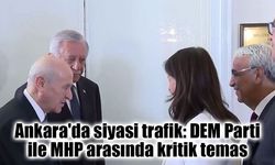 DEM Parti heyeti Bahçeli ile görüştü: TBMM'de kritik temas