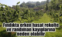 Fındık Üreticilerine Kritik Uyarı: Erken Hasat Geliri Azaltabilir