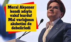 Akşener'in sessiz hazırlığı ortaya çıktı: 5 milyon TL sermayeli vakıf kuruldu