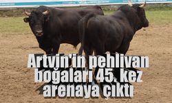 Kafkasör'de 45. buluşma: Artvin'in asırlık geleneği yine binlerce kişiyi buluşturdu