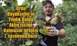 'Fındık Dalda, Aklın İşçide Kalmasın' projesi 7. sezonuna hazır